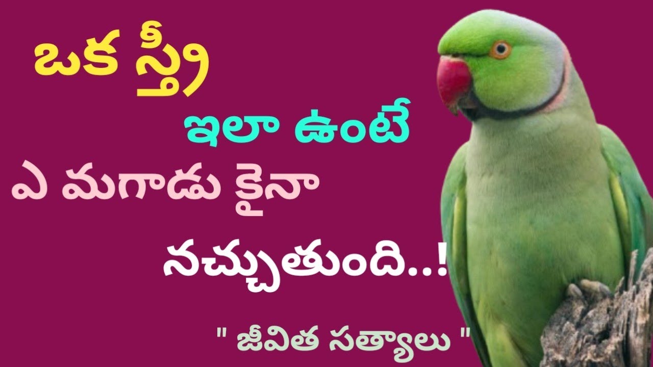 🌹ఈ 7 లక్షణాలు ఉన్న స్త్రీ మగాడీ హృదయాన్ని గెలుచుకొన్నట్లే!
