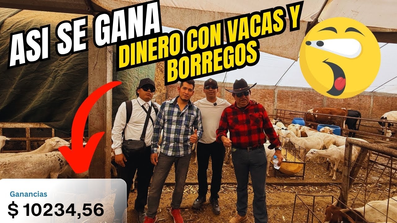 Visitamos a un productor de ganado bovino y ovino (P1)