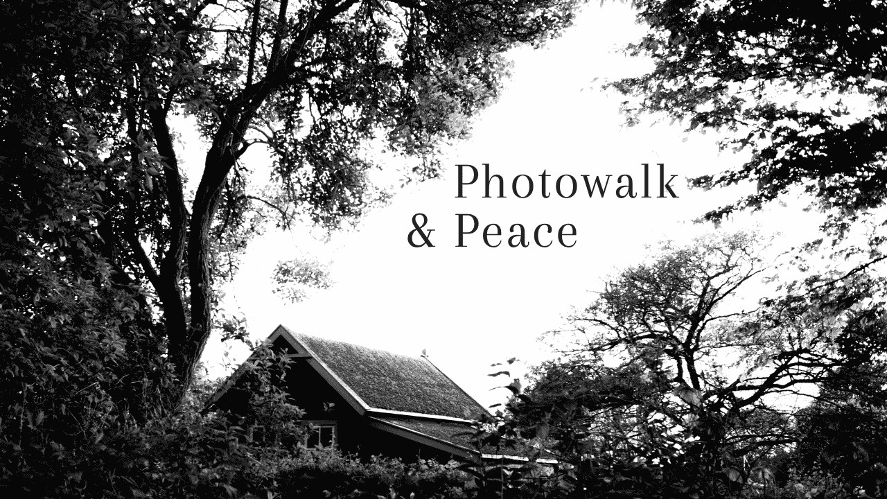 A Photowalk - Finding peace in nature with my camera