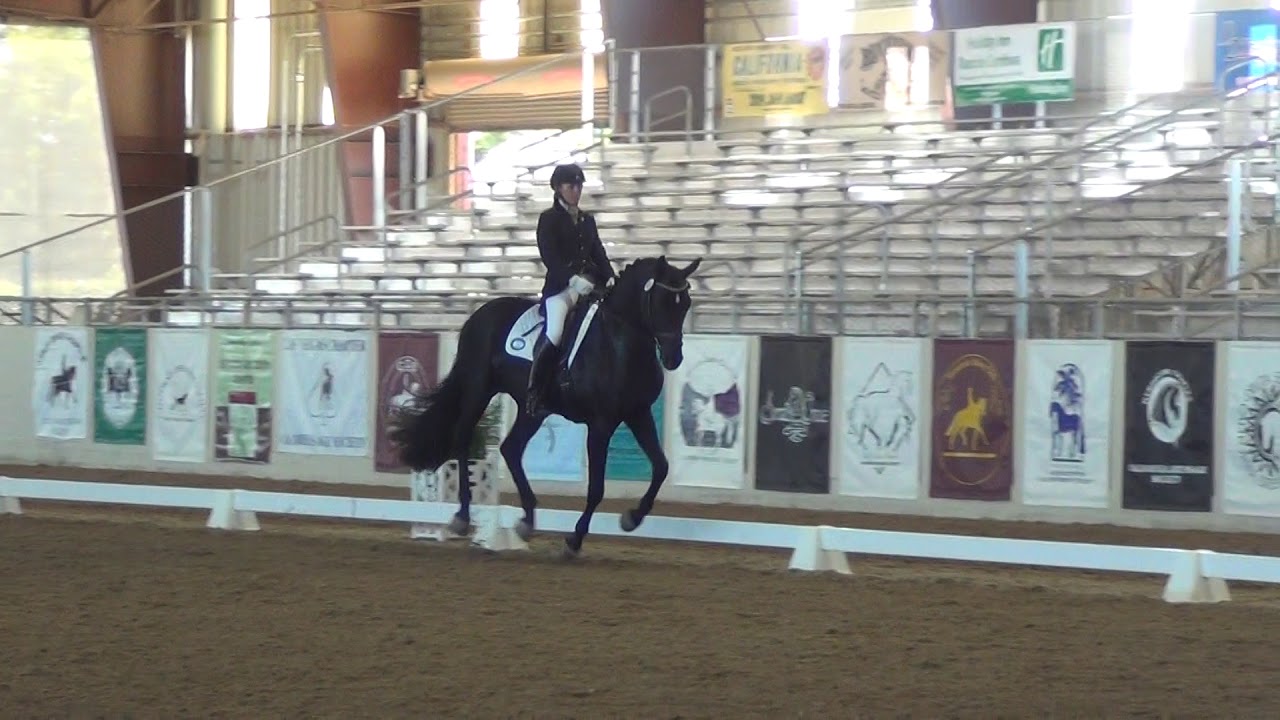 Karen Cornelius and Fiderello, First Level Freestyle Championship
