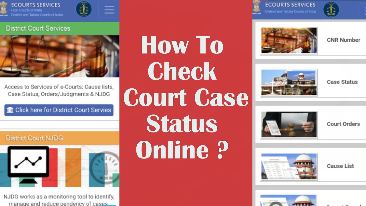 How To Check Court Case Status Online | Ecourt Services | vlog3