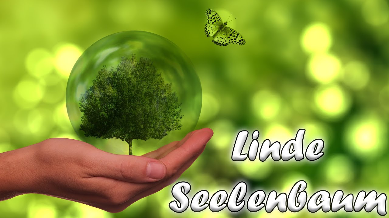 Der Lindenbaum und seine Wirkung & Seelenbäumchen Malerei
