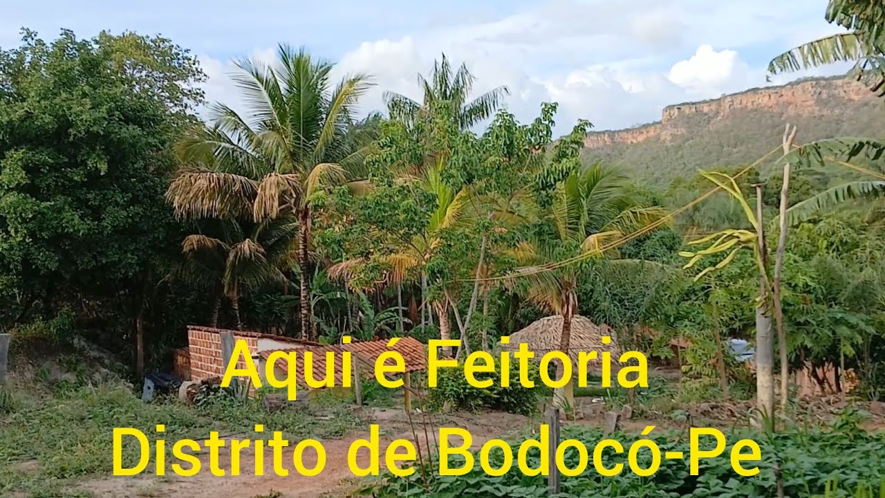 Ja ouviram falar Feitoria ? Distrito de Bodocó-Pe.
