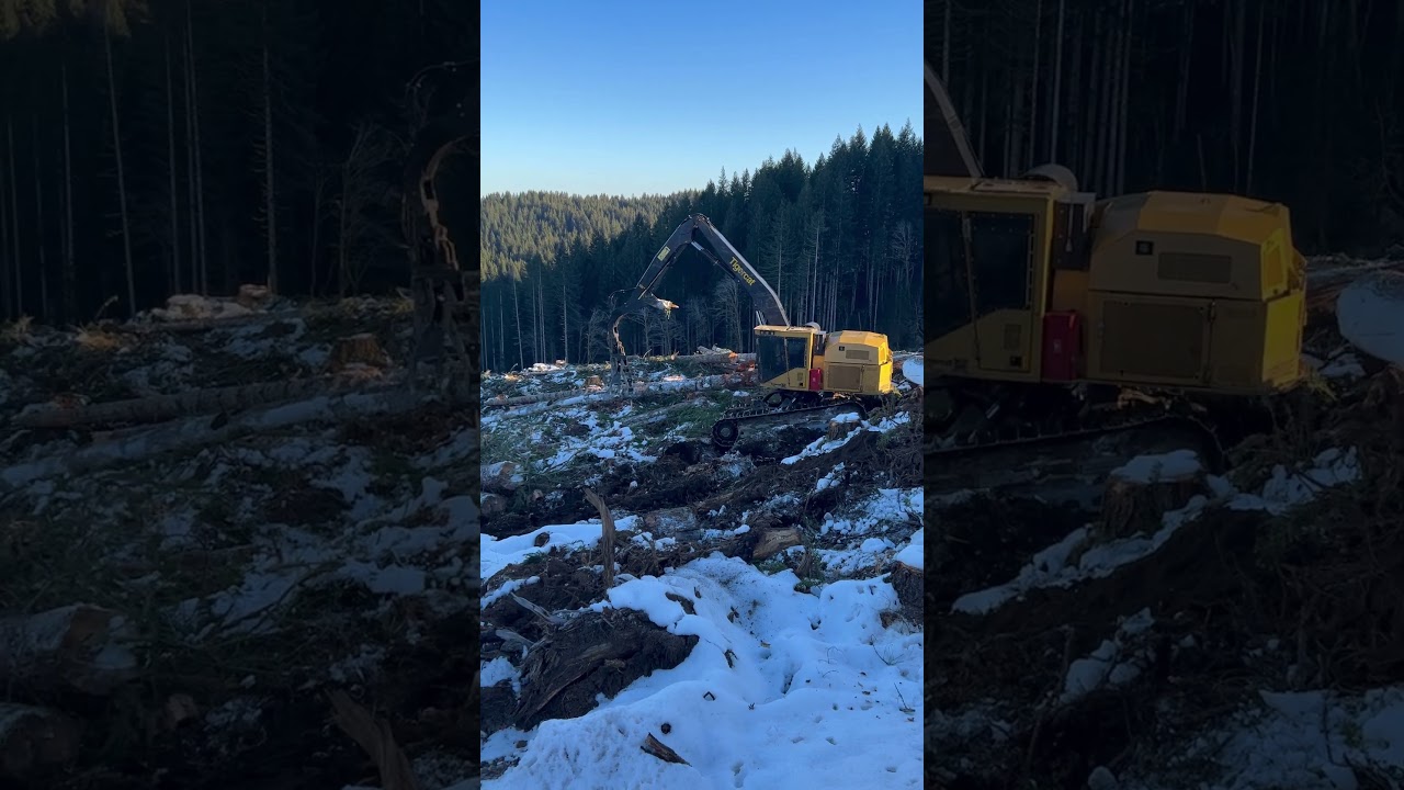 JM Browning Logging on ODF Timber Sale (Wage Earner)