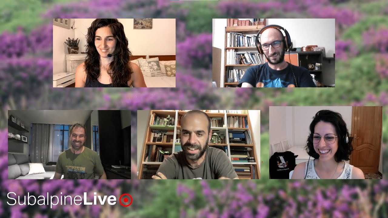 SubalpineLive P26T2 (12-06-23): ♀ Emberiza + Sterna + ♀ Curruca + Buteo  Estrecho + Apus -despedida-