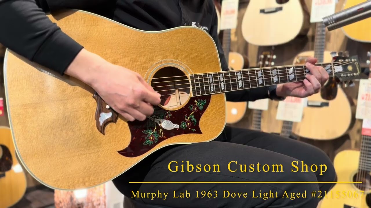 〔新品〕Gibson Custom Shop Murphy Lab 1963 Dove Light Aged #21155067【クリアで力強い圧巻のメイプルサウンド】