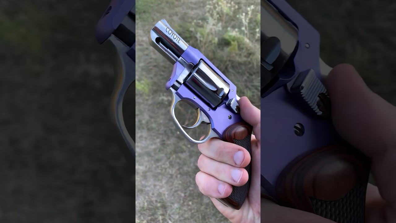 Coyote .380 Auto