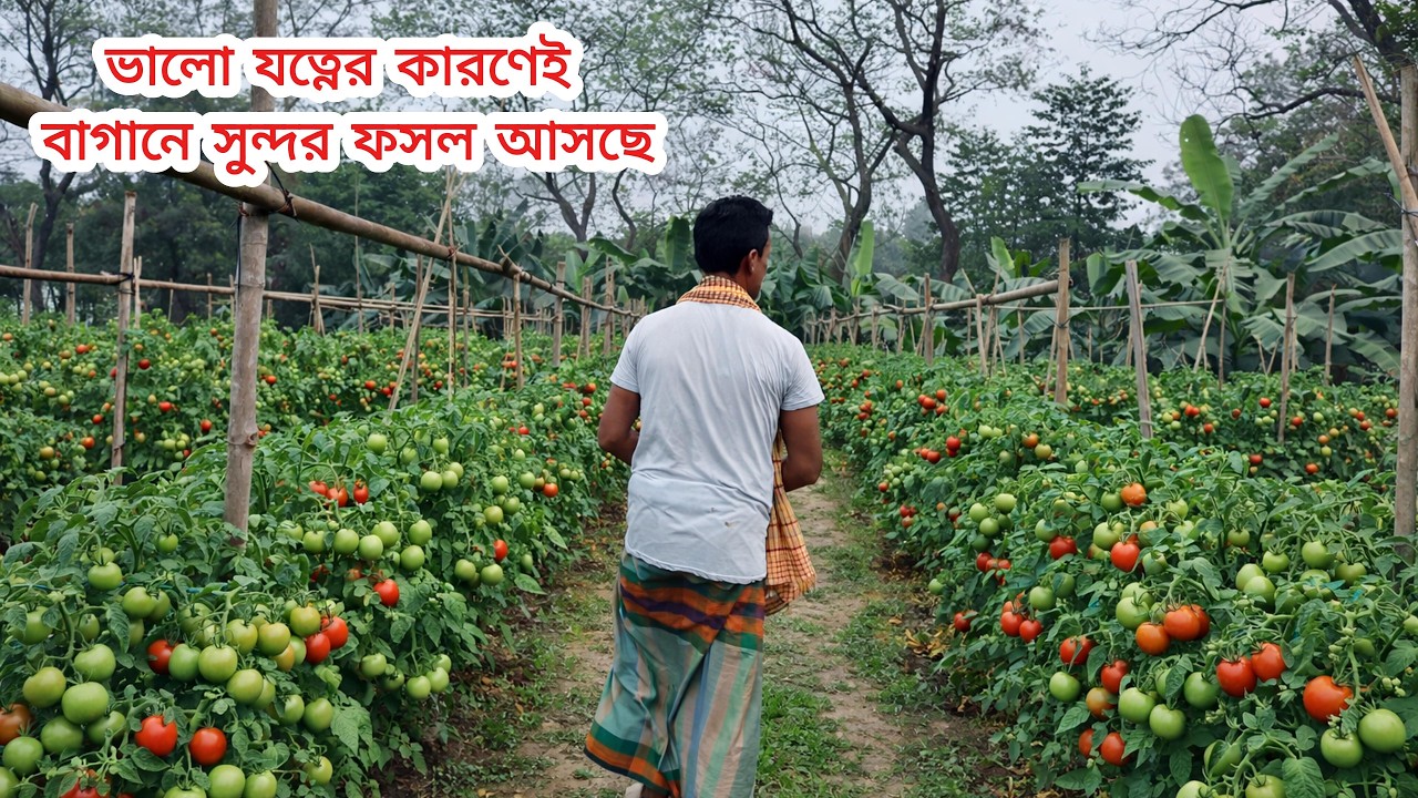 সারাদিন বাগানে কী কী কাজ করি দেখুন 🌿