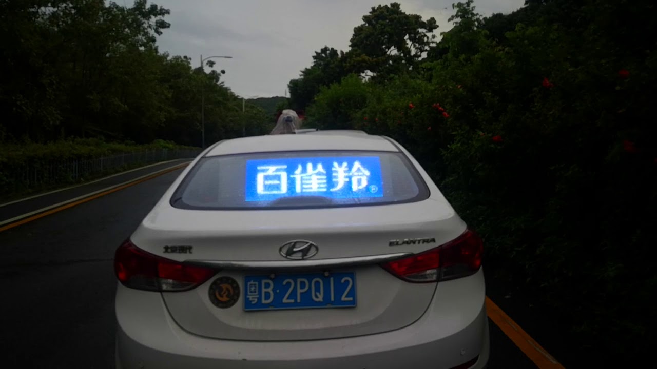 car rear window transparent led display
