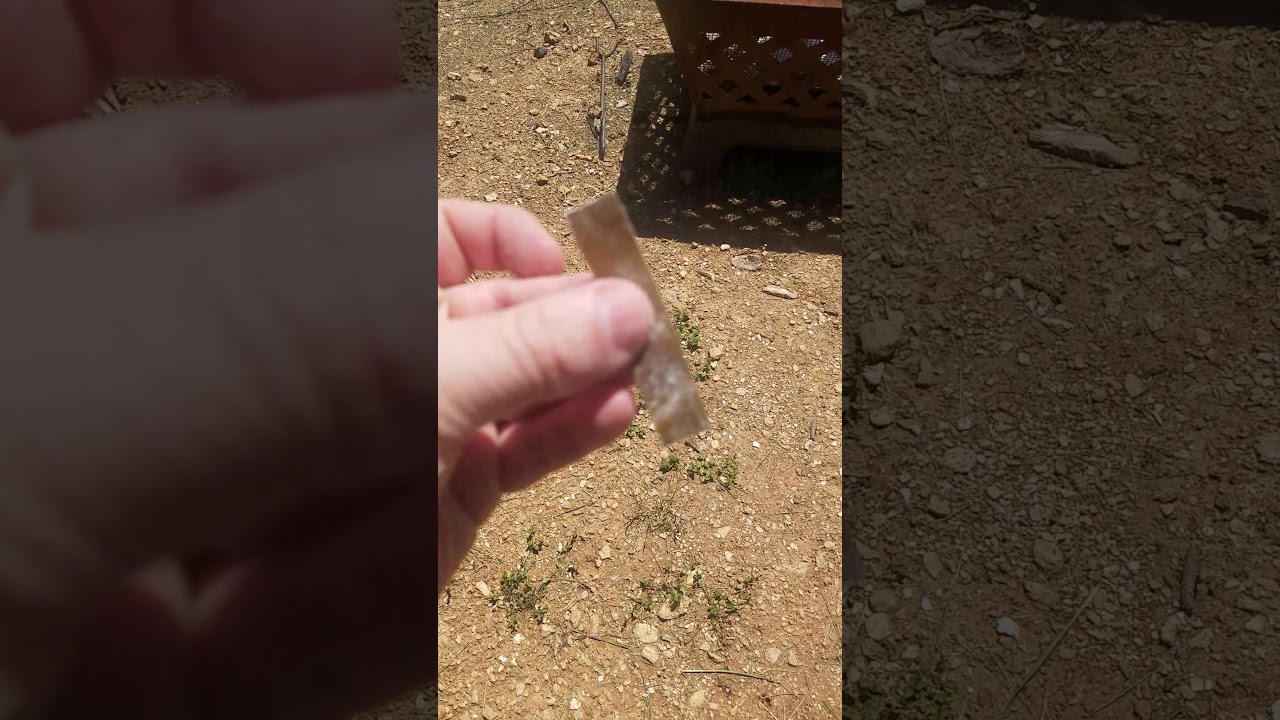 A Maryland guy's opinion of Miyako Konbu.