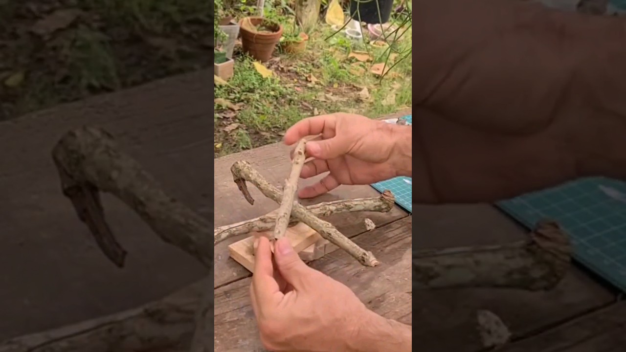 Olha que ideia linda para fazer com galhos secos #galhossecos  #feitoamao