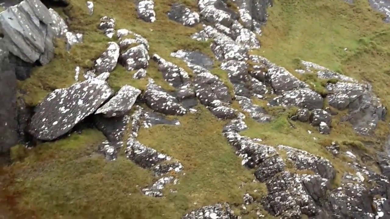 Walking The Sheep's Head Way