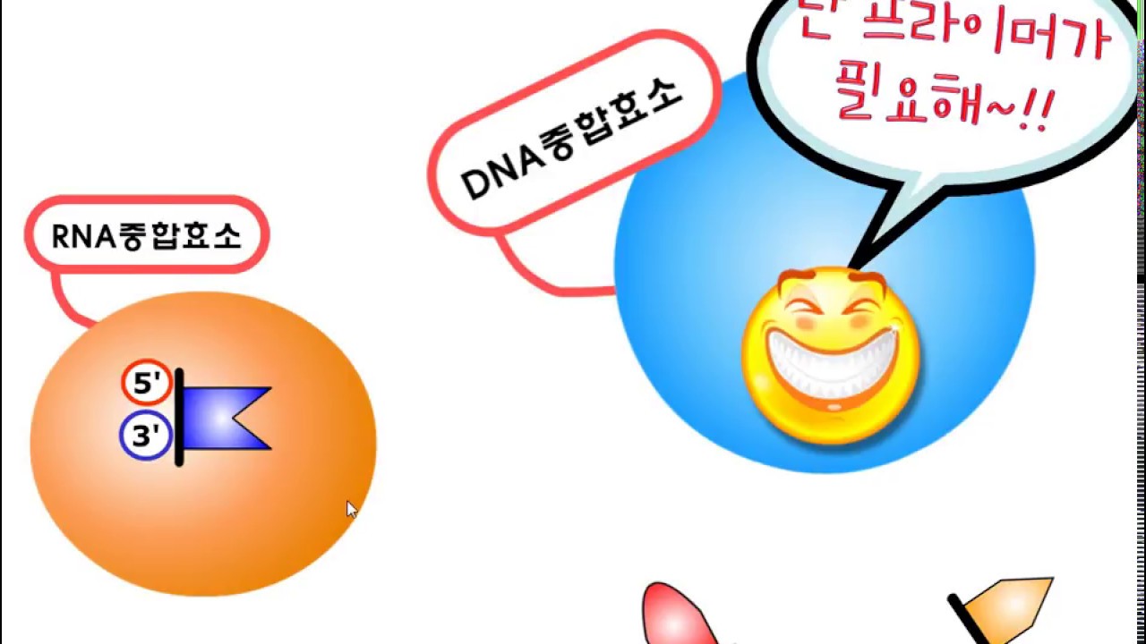 [생명과학2] 2단원 1- 4 DNA 복제과정( DNA replication )