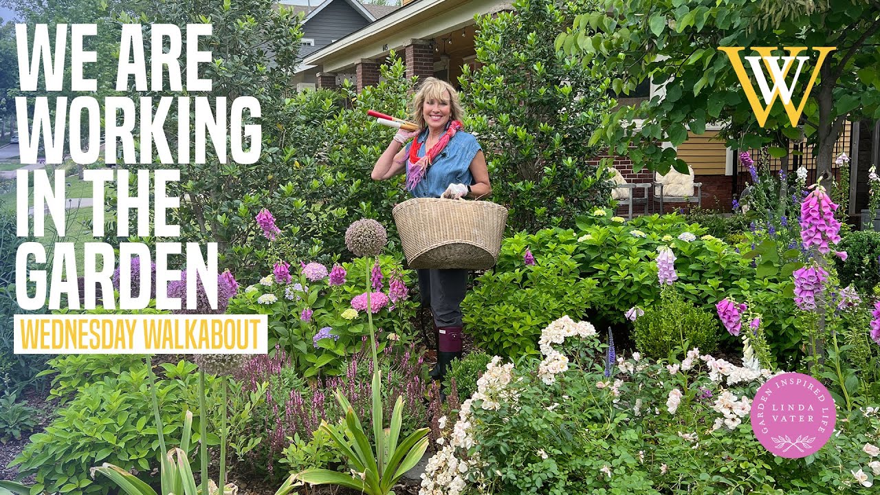 Today Let’s Work In The Garden
