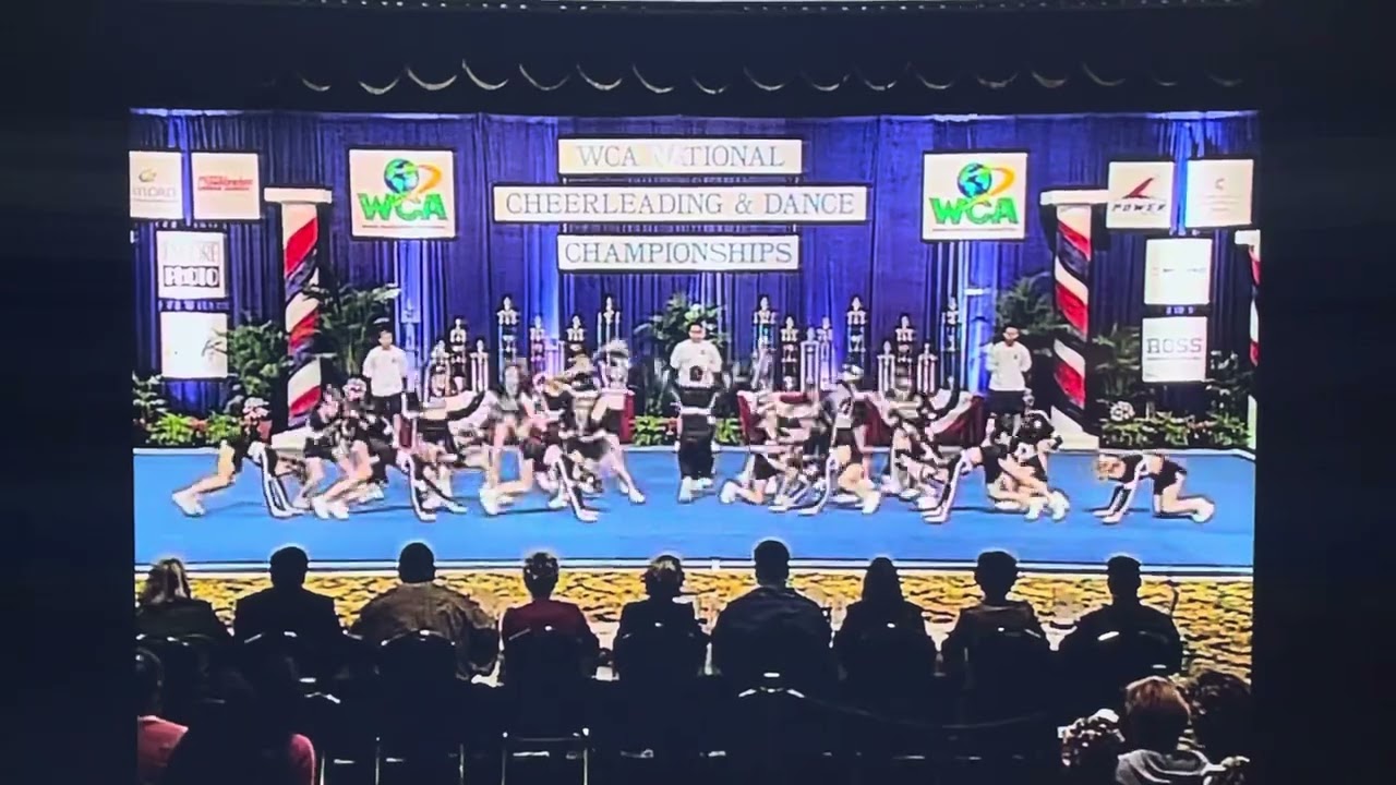 Georgia Allstars Jr. Coed Adv. 2001-2002 / WCA Nationals