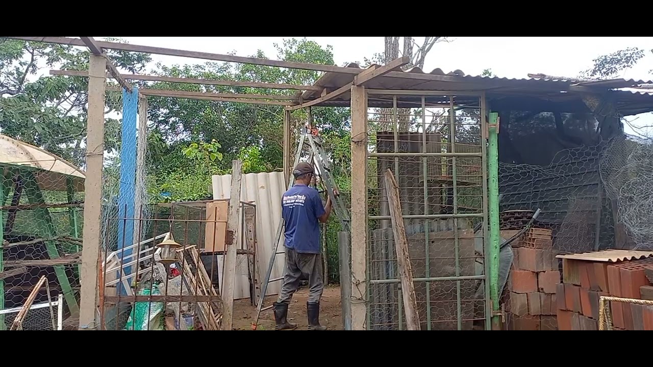 RECONSTRUIR O GALINHEIRO APÓS A TEMPESTADE AQUI NA FLORESTA 