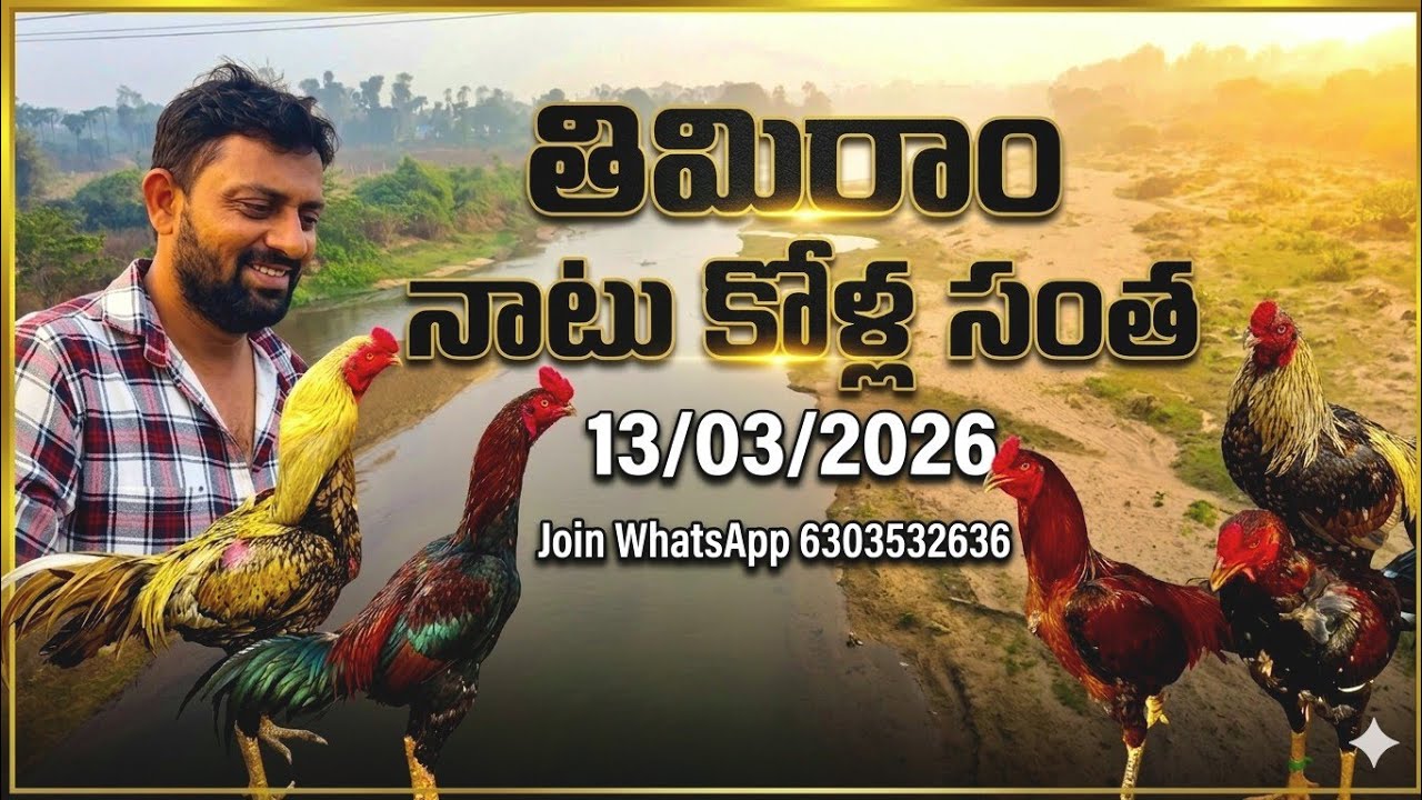 #ఈవారం తిమిరాం 13/03/2026 శుక్రవారం నాటు కోళ్ల సంత అనకాపల్లి జిల్లా joinwatsapp 6303532636