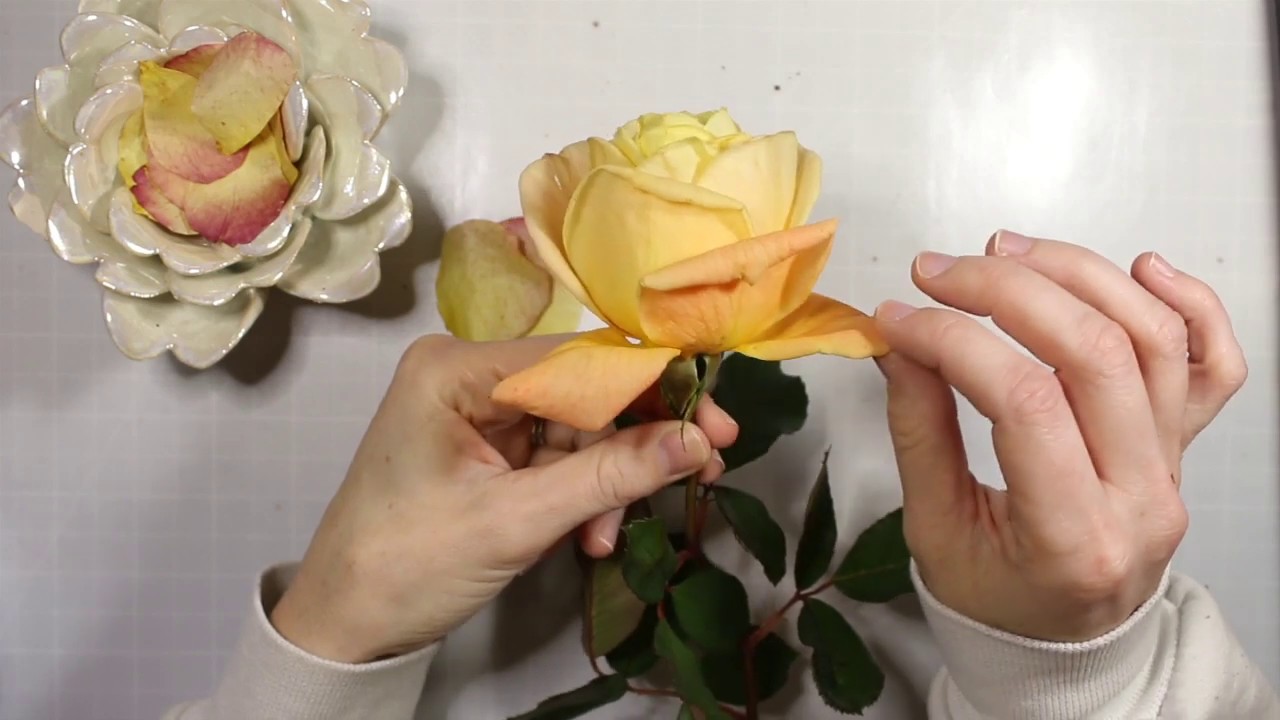 Dried Flower Bookmarks