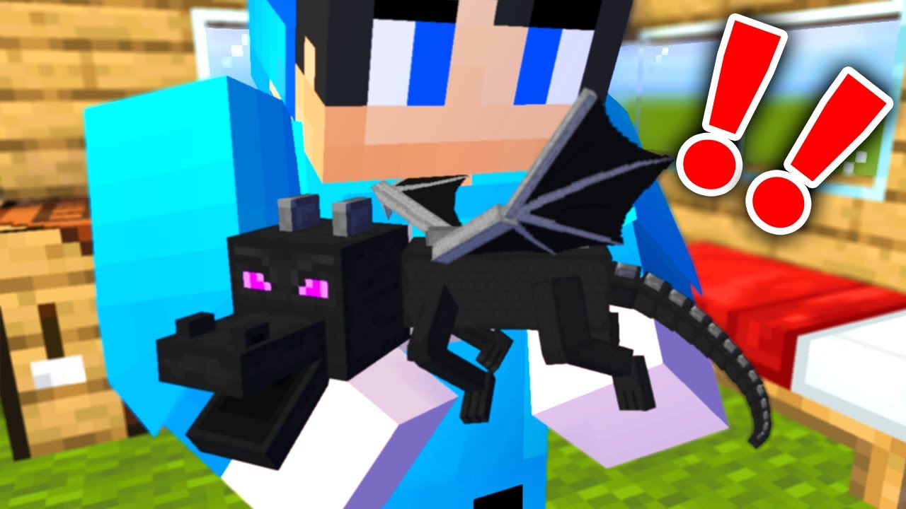 【マイクラ】迷子になったエンドラ赤ちゃんを見つけた結果【マインクラフト 】【まいくら】