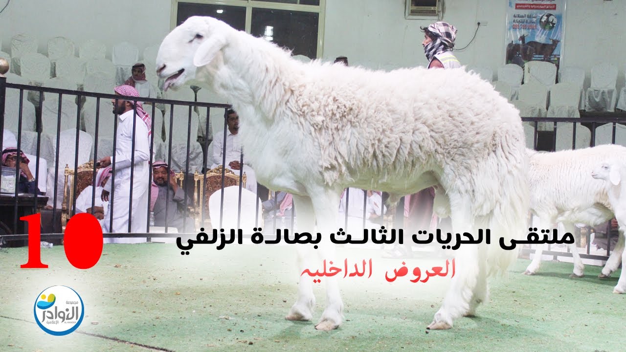 ملتقى الحريات الثالث بالزلفي (10)