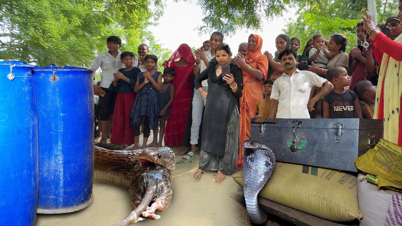 कैमरे में कैद हुआ एक और खतरनाक मंजर, घर में कैसे घात लगाए बैठा था..😱🐍 Dangerous Cobra Snake Rescue