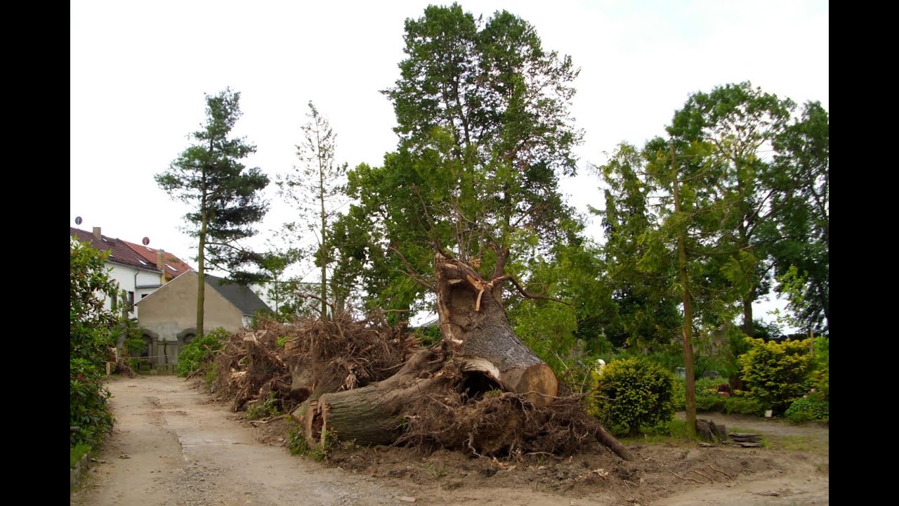 Gro&szlig;enhain 24  Mai 2010   Tornado