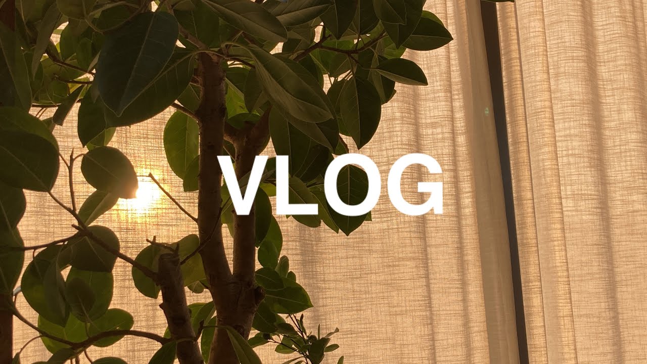 VLOG | 방학을 맞이한 자의 하루일상 - 딸기라테 만들기, 영상편집 공부, 새우계란볶음밥 해먹기, 예쁜카페 탐방, 감성 쩌는 바다 구경