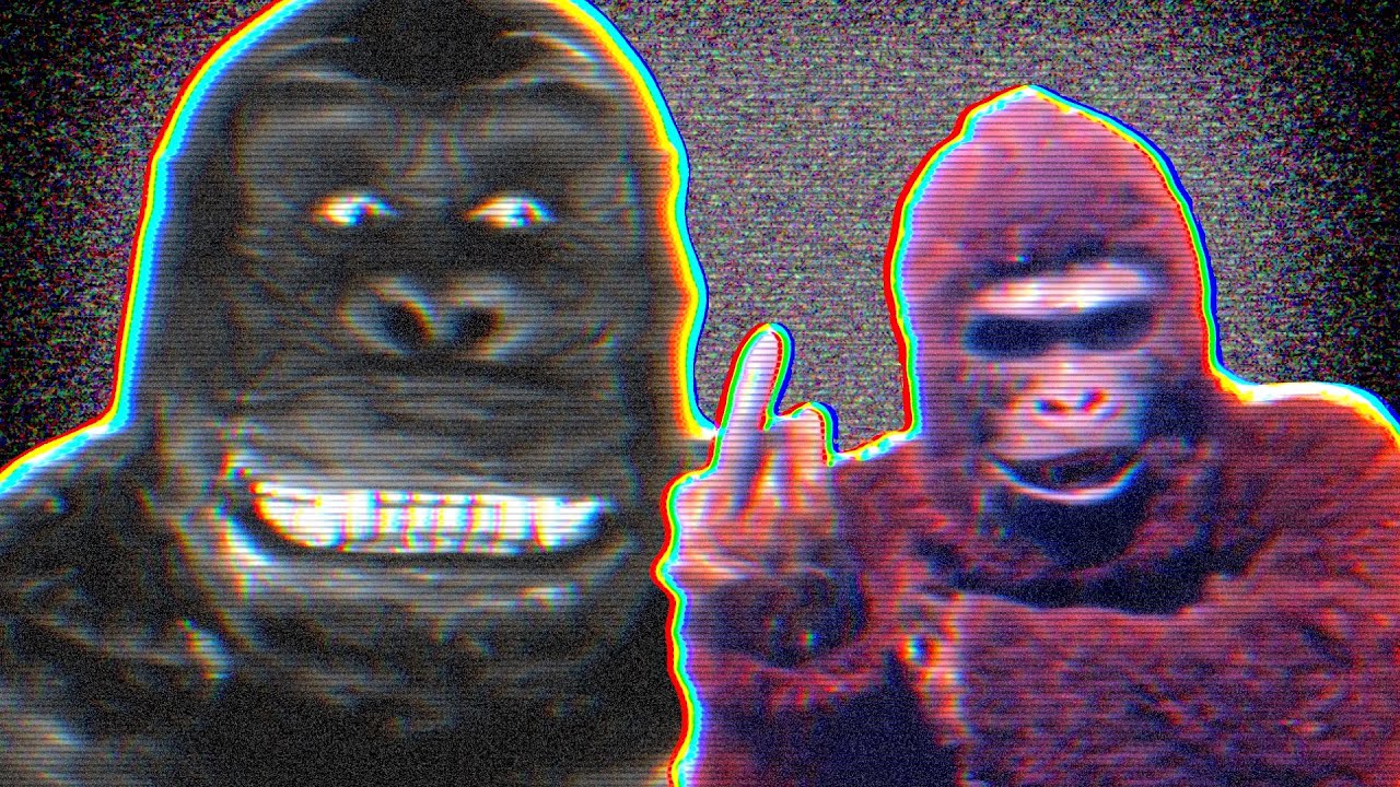 10 of the Worst King Kong Knockoffs! | Scribbles to Screen