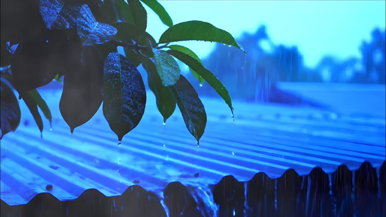 Non Stop Heavy Rain on Roof || Thunderstorm Sounds for Relaxation and Sleep 
