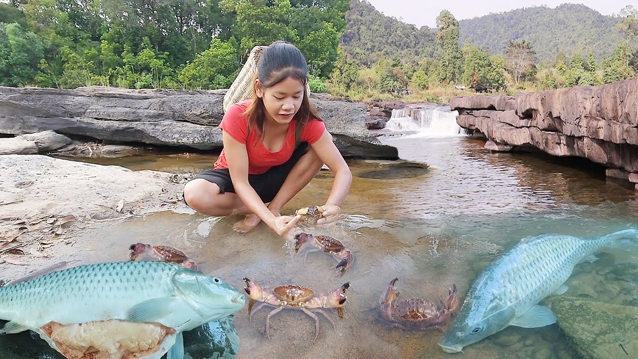 Big fish soup spicy chili, Catch and cook big crab Delicious food, Eel soup tasty, +Top 5 video