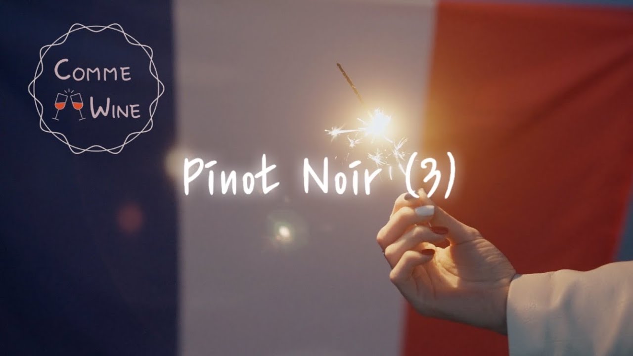 피노 누아 Pinot Noir (3) | 와인 품종 이야기 | 와인 기초 | 와인공부