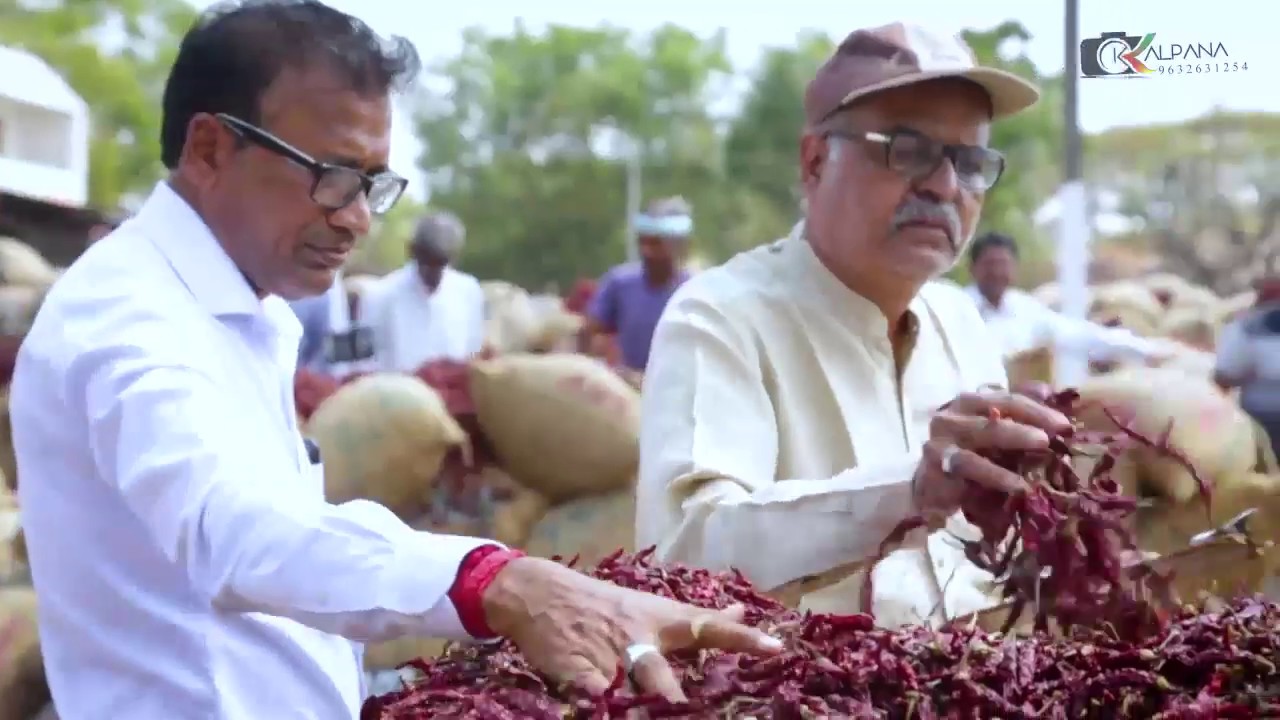BYADGI CHILLI MARKET | LATEST VIDEO 2020 | BYADGI