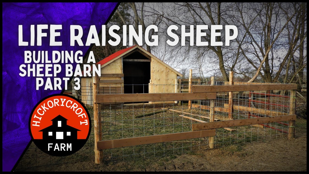 Life RAISING SHEEP Vlog: Building A Sheep Barn To Beat The Winter Blues! Part 3 (Icelandic Sheep)