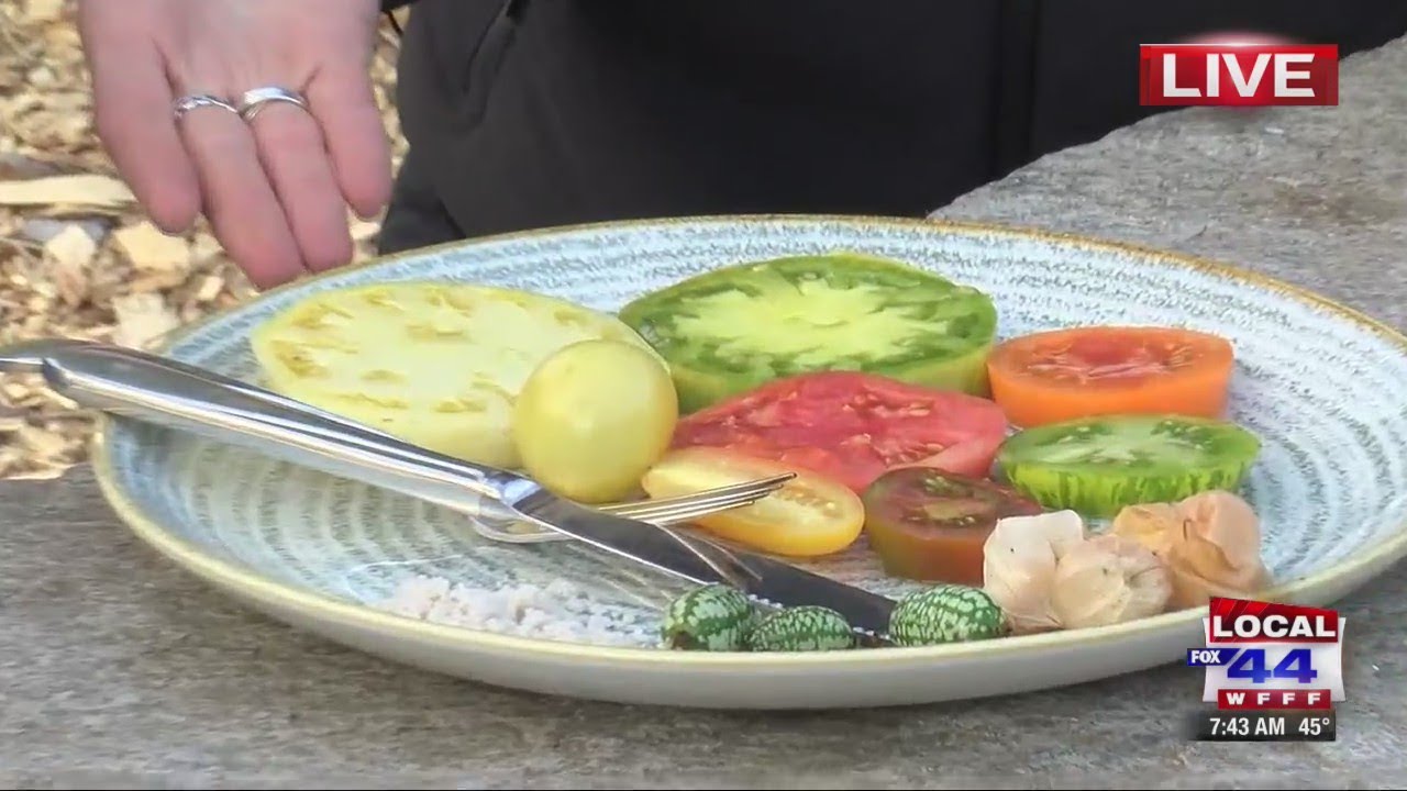 Calling all tomato lovers!