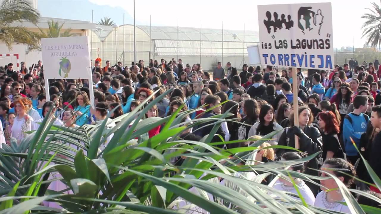 V Olimpiadas Clásicas Orihuela 2012