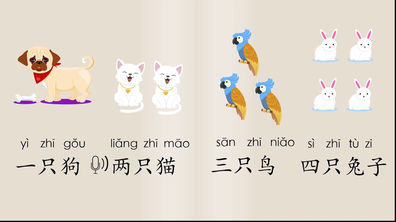 Pets in Mandarin, Chinese Learning Cards, 中文学习词卡, 宠物 MrSunMandarin