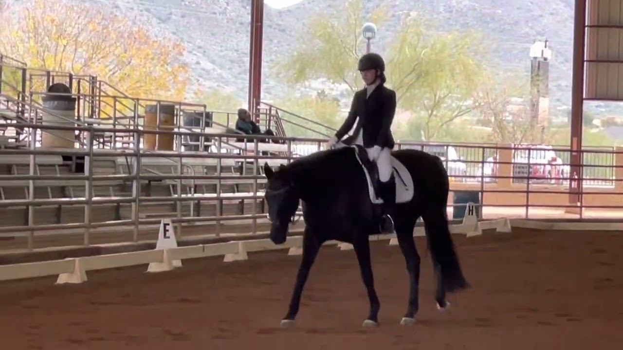 2023 USEF First Level Test 3 &mdash; Lyon