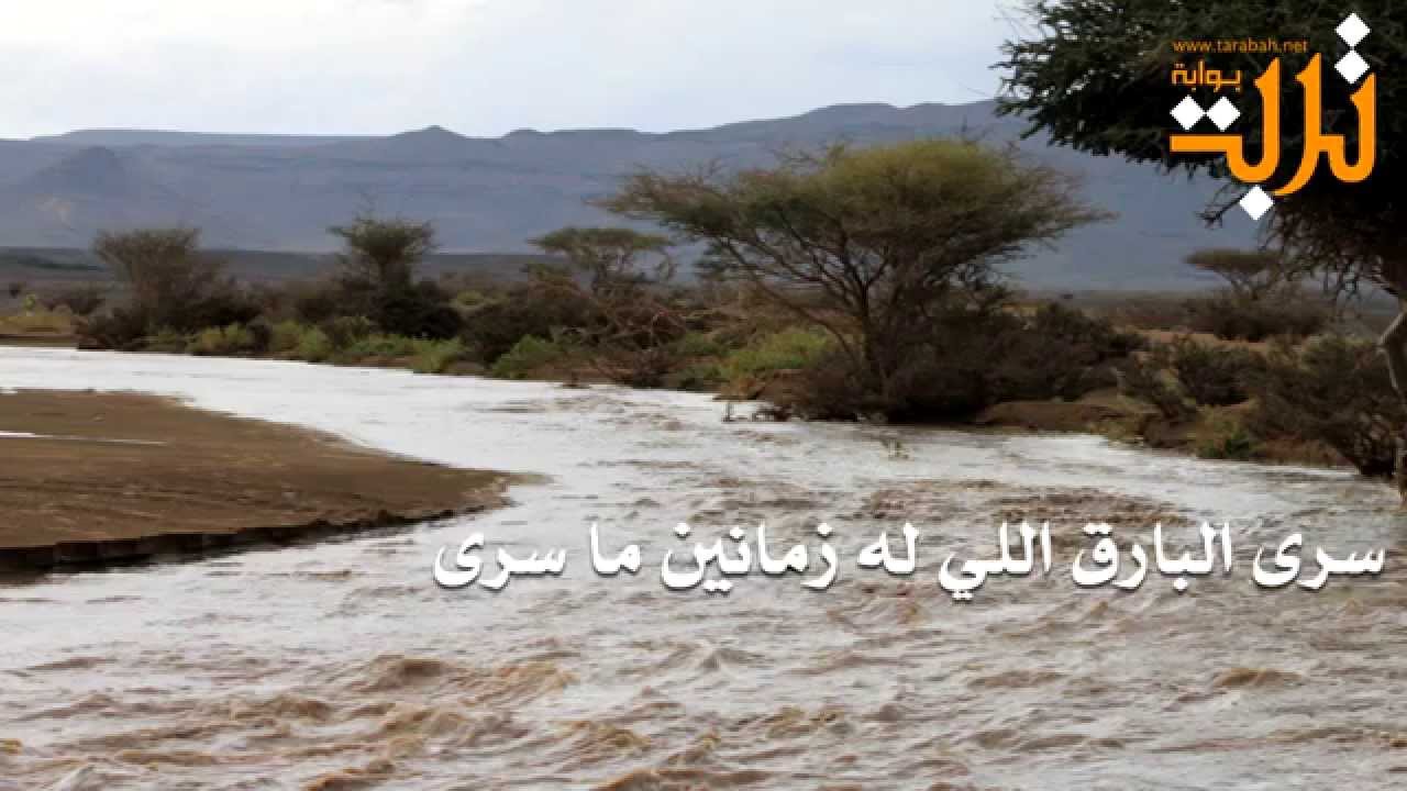 شيلة سرى البارق اللي له زمانين ماسرى - ارشيف فيديو و صور أمطار تربة