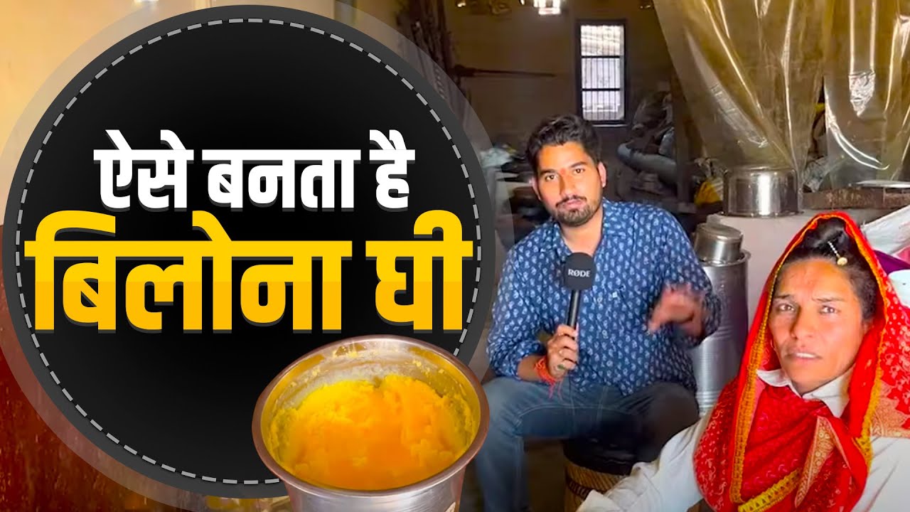 Desi Cow Bilona Ghee: देखिए ऐसे बनता है देसी गाय का शुद्ध बिलोना घी | Kisan Tak