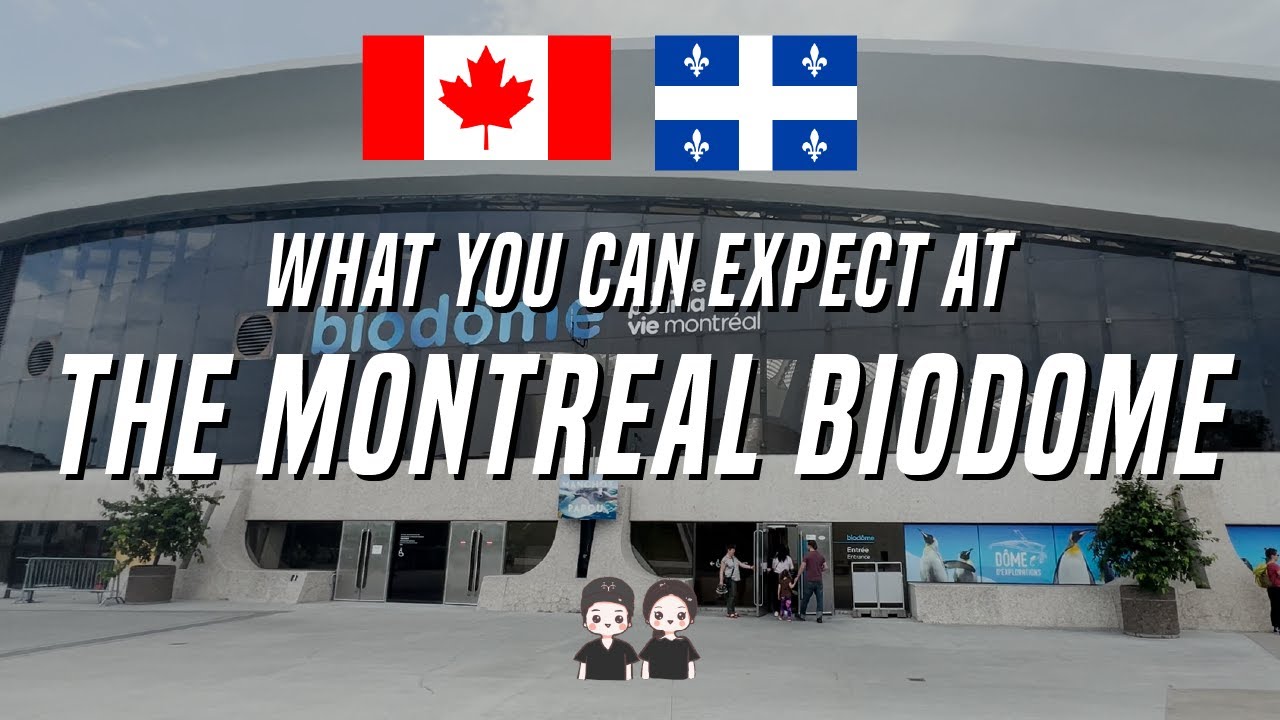 What To Expect When Visiting The Montreal Biodome | Montreal