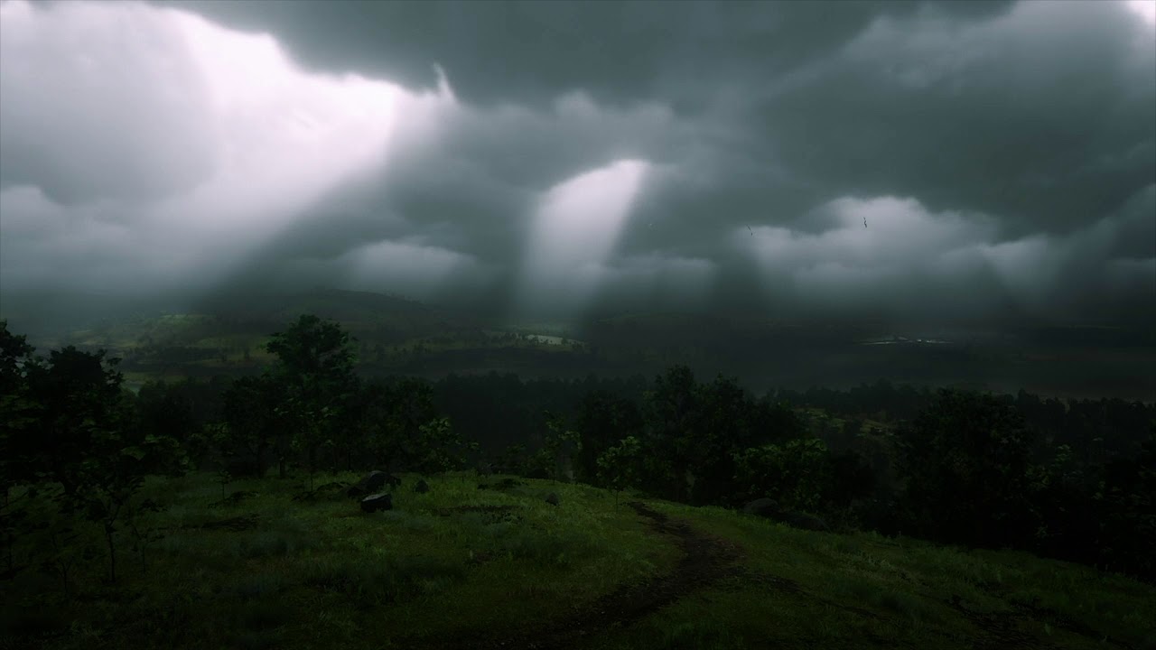 Red Dead Redemption 2 - Light Rain Ambiance (rain, wind, white noise)
