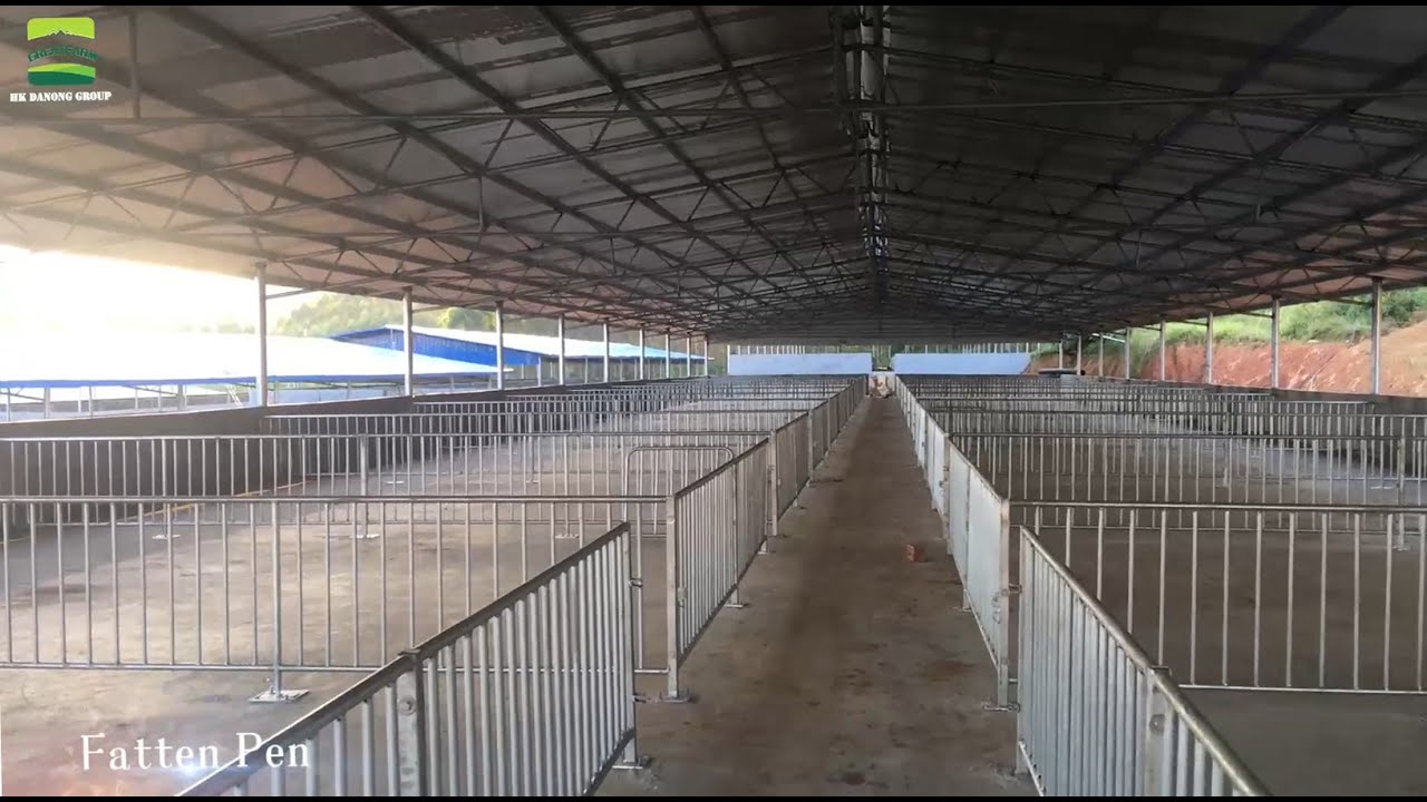 We can provide professional pig farm design plan(FREE)