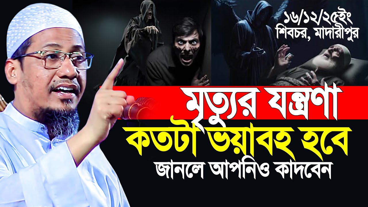 মৃ'ত্যুর যন্ত্রণা কত ভয়াবহ? কতটুকু কষ্ট দিয়ে আ'জরাইল জান কবজ করে | Amisur  Rahman Ashrafi New Waz