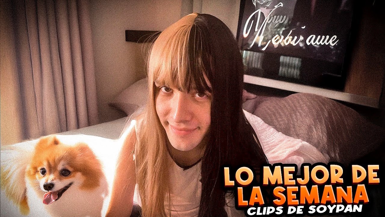Los Mejores Clips de la Semana #202 | SoyPan