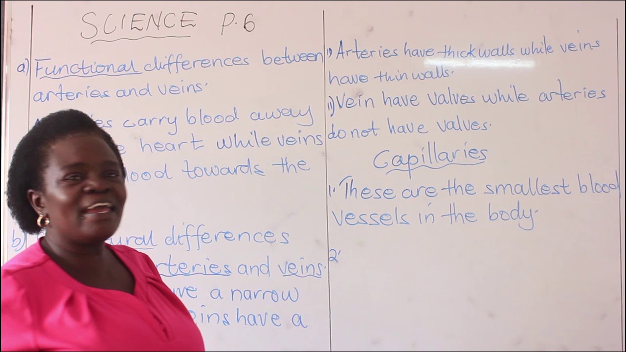 Science Primary Six   Blood vessels Veins continued By Tr Juliet Kalungi #Home #School