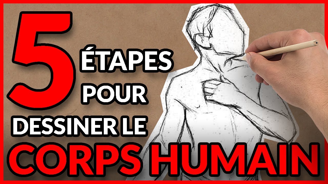 5 étapes pour dessiner le CORPS HUMAIN (Débutant en  Modèle-vivant)