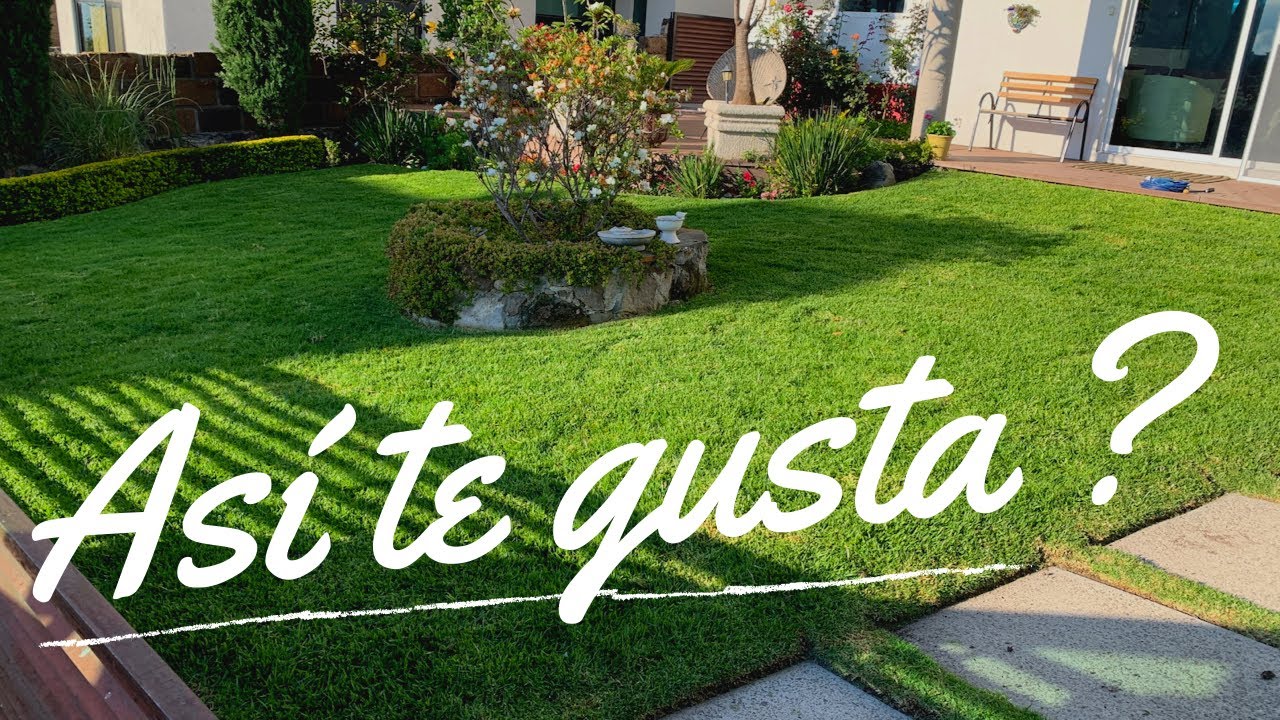 🧪 De los Fertilizantes Inorgánicos😕 Cuál NECESITA tu PASTO ?... y cuál NO🚫