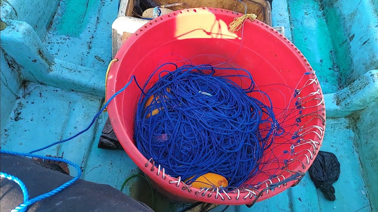 HOW TO CATCH A MAHI MAHI FISH FOR LONGLINE FISHING