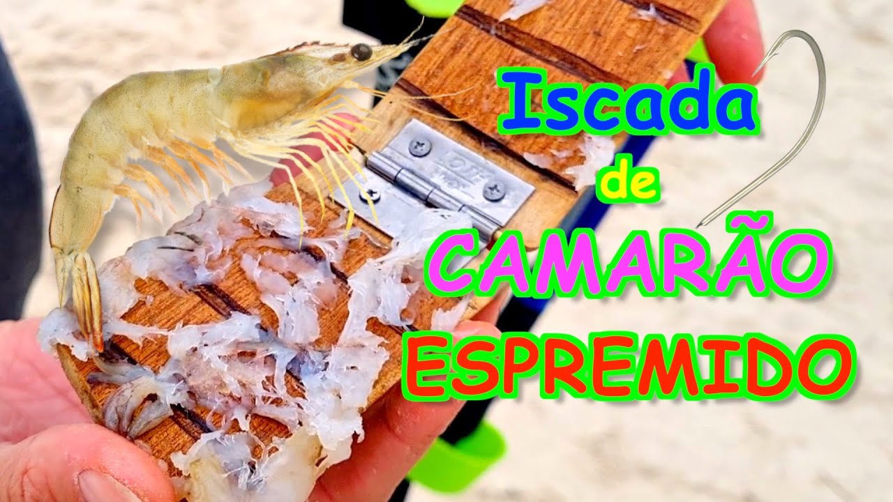 como iscar CAMARÃO ESPREMIDO - o segredo dos CAMPEÕES DE PESCA