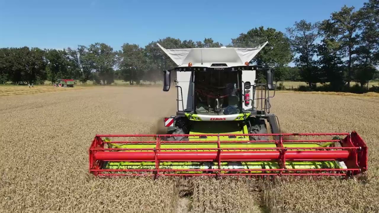 MOISSON DE BLE 2024 // CLAAS TRION 660 // FARMER IRL